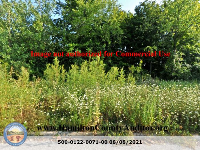 Photo 08/08/2021